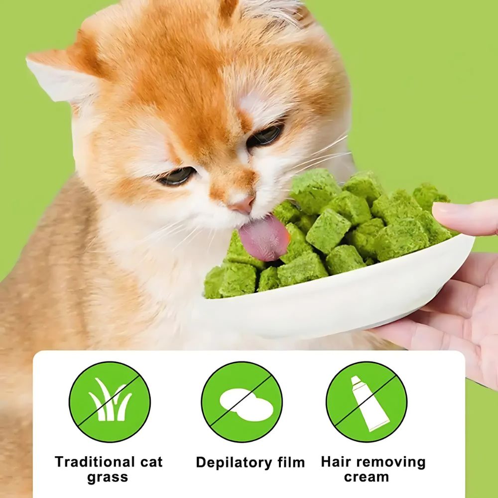 Freeze-Dried Cat Snack – Nutritious, Tasty & Hairball Control